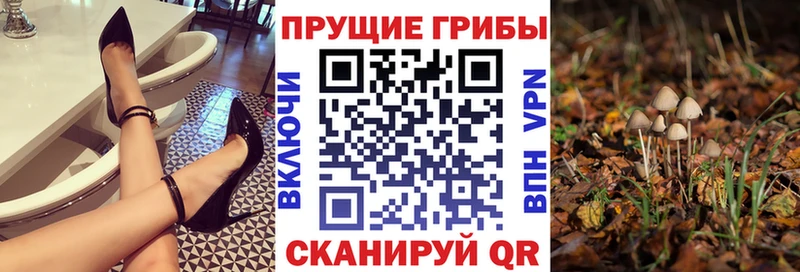 Псилоцибиновые грибы прущие грибы Кинель